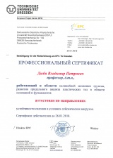 Сертификат 11